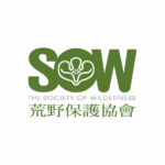 teambuilding 遊戲化設計 體驗設計 體驗教育 築筠文創 團建